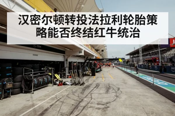 F1 tire wear strategy